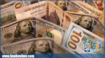 تحديثات الصرف.. سعر الدولار أمام الجنيه في تعاملات الإثنين 5 يناير بالبنوك المصرية